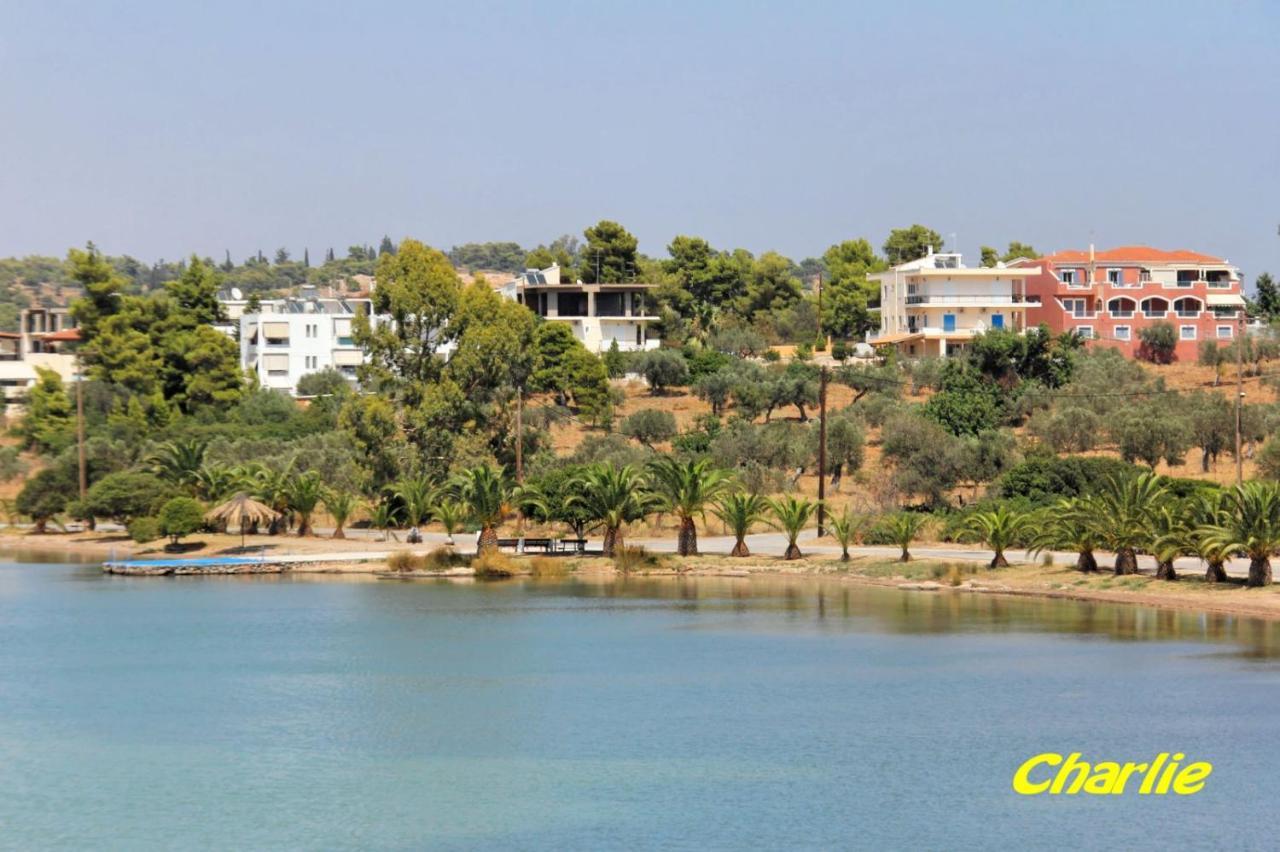 Apartment Niriides